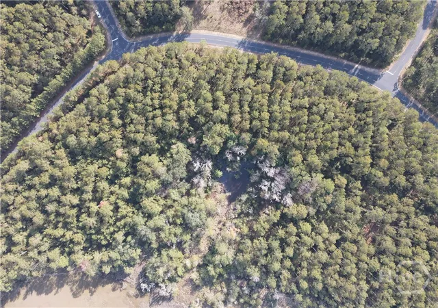 Photo 3 of Land for sale at Lot NE 45 Marsh Way W, Townsend, GA 31331 | MLS# SA344639 | Listing updated on 2025-12-05