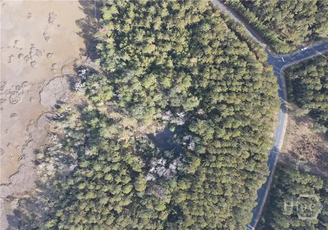 Photo 4 of Land for sale at Lot NE 45 Marsh Way W, Townsend, GA 31331 | MLS# SA344639 | Listing updated on 2025-12-05