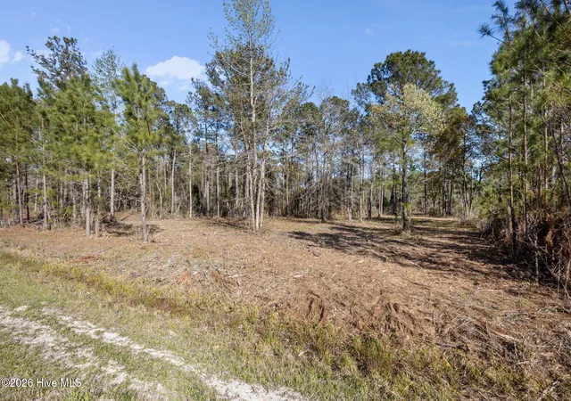 Photo 3 of Land for sale at 128 Shell Castle Ln, Vandemere, NC 28587 | MLS# 100567391 | Listing updated on 2026-08-25