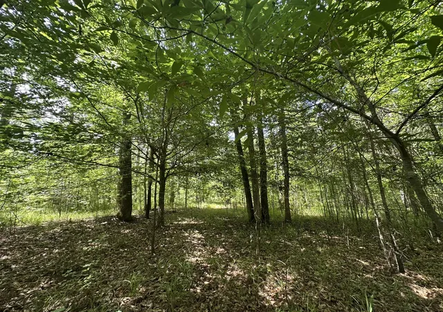 Homes for sale in Tignall, GA | Lot 11 South Pointe Dr, Tignall, GA 30668 | MLS# 98224318