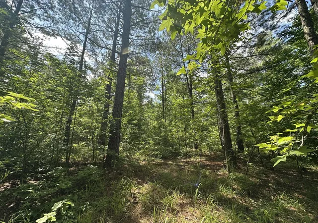 Homes for sale in Tignall, GA | Lot 11 South Pointe Dr, Tignall, GA 30668 | MLS# 98224318