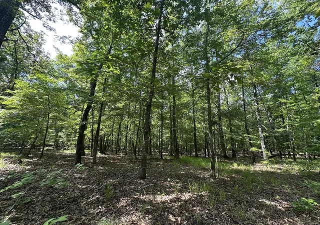 Homes for sale in Tignall, GA | Lot 11 South Pointe Dr, Tignall, GA 30668 | MLS# 98224318