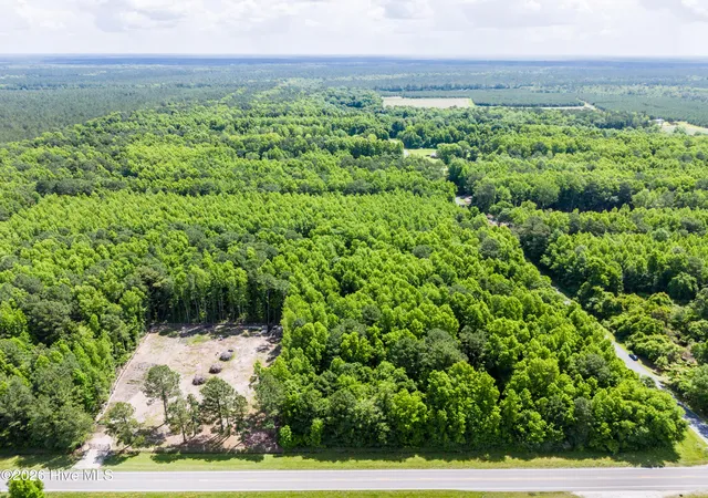 4th image of Lot 5 E Main Street, Burgaw, NC 28425 | MLS# 100577614