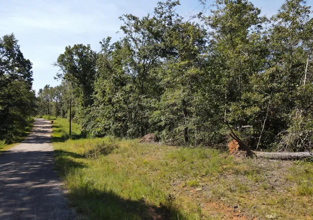 Homes for sale in Keysville, GA | 11c & 12c Mini Farms Rd, Keysville, GA 30816 | MLS# 98224986