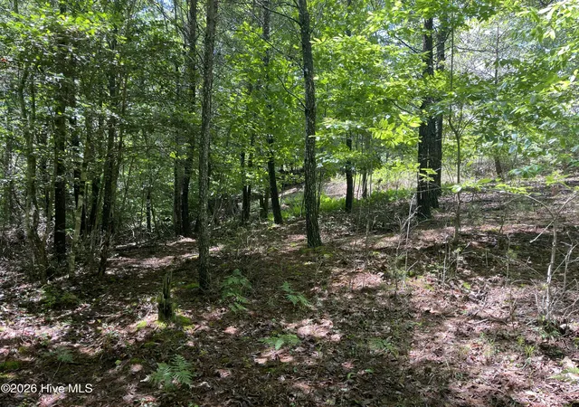 Photo 2 of Land for sale at 0 River Mountain Rd, Murphy, NC 28906 | MLS# 100581803 | Listing updated on 2026-06-15