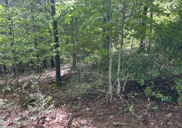 Photo 3 of Land for sale at 0 River Mountain Rd, Murphy, NC 28906 | MLS# 100581803 | Listing updated on 2026-06-15