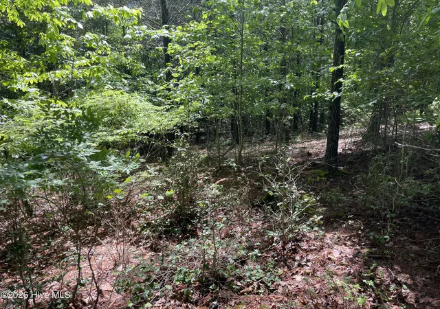 Photo 3 of Land for sale at 0 River Mountain Rd, Murphy, NC 28906 | MLS# 100581803 | Listing updated on 2026-06-15