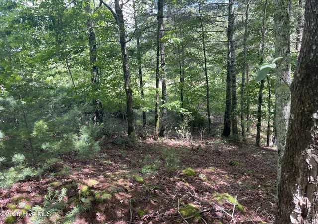 Photo 4 of Land for sale at 0 River Mountain Rd, Murphy, NC 28906 | MLS# 100581803 | Listing updated on 2026-06-15