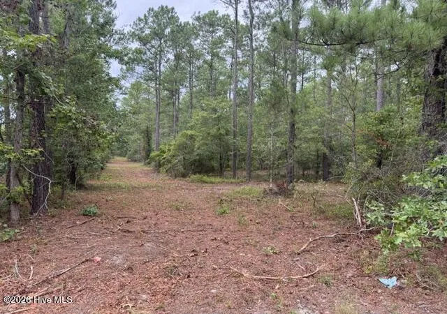 Photo 1 of Land for sale at 0 Nc Hwy 210 Rd, Currie, NC 28435 | MLS# 100591122 | Listing updated on 2026-08-18