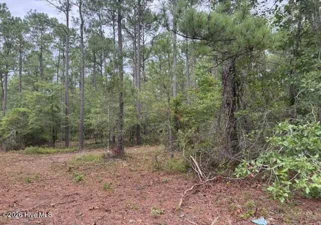 Photo 2 of Land for sale at 0 Nc Hwy 210 Rd, Currie, NC 28435 | MLS# 100591122 | Listing updated on 2026-08-18