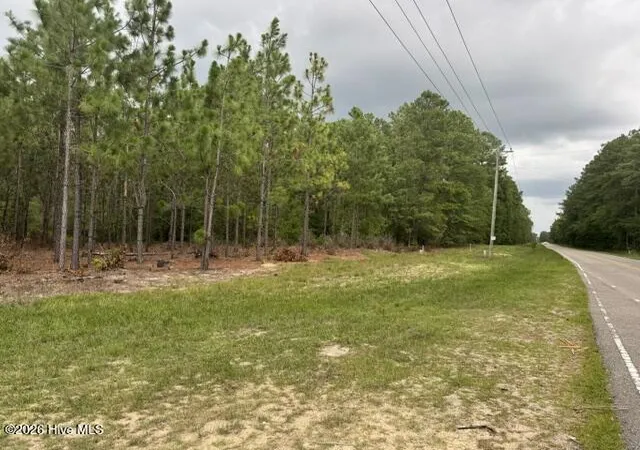 Photo 7 of Land for sale at 0 Nc Hwy 210 Rd, Currie, NC 28435 | MLS# 100591122 | Listing updated on 2026-08-18