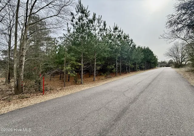 Homes for sale in Ellerbe, NC | 240 Bennett Rd, Ellerbe, NC 28338 | MLS# 100556454