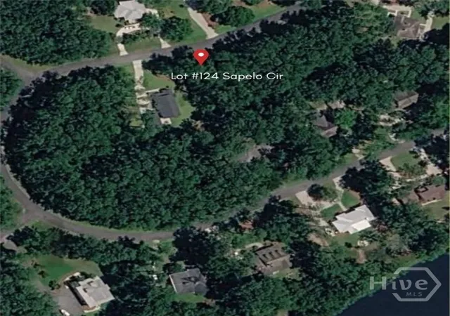 Photo 2 of Land for sale at Lot 124 Sapelo Cir, Townsend, GA 31331 | MLS# SA360095 | Listing updated on 2026-07-15