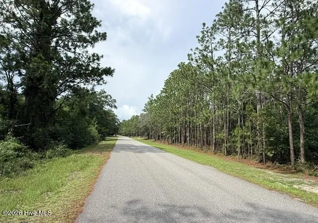 Photo 1 of Land for sale at L 26 & 27 Eden Dr, Boiling Spring Lakes, NC 28461 | MLS# 100595268 | Listing updated on 2026-08-18