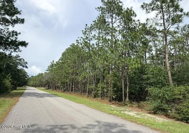 Photo 2 of Land for sale at L 26 & 27 Eden Dr, Boiling Spring Lakes, NC 28461 | MLS# 100595268 | Listing updated on 2026-08-18