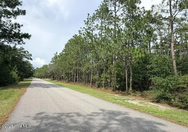Photo 3 of Land for sale at L 26 & 27 Eden Dr, Boiling Spring Lakes, NC 28461 | MLS# 100595268 | Listing updated on 2026-08-18