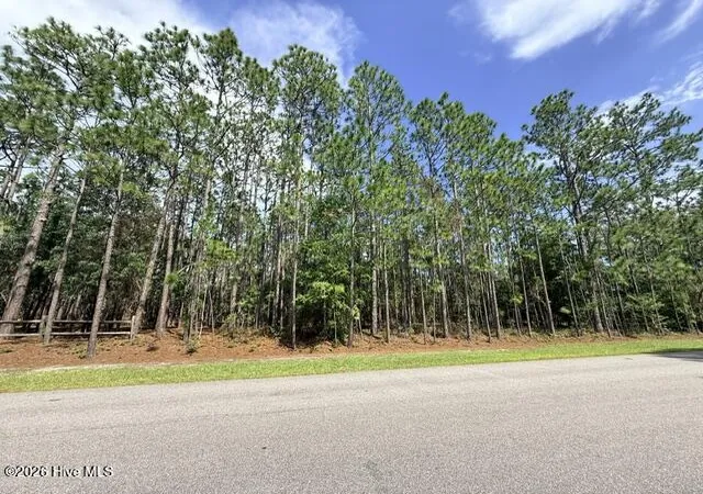 Photo 3 of Land for sale at L-26 & 27 Eden Dr, Boiling Spring Lakes, NC 28461 | MLS# 100595268 | Listing updated on 2026-08-18