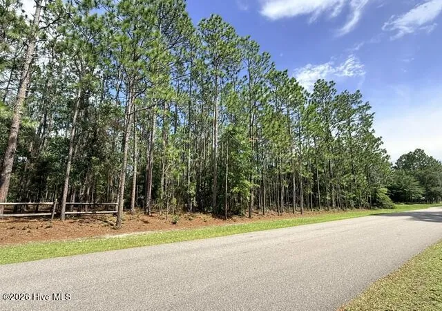 Photo 4 of Land for sale at L-26 & 27 Eden Dr, Boiling Spring Lakes, NC 28461 | MLS# 100595268 | Listing updated on 2026-08-18