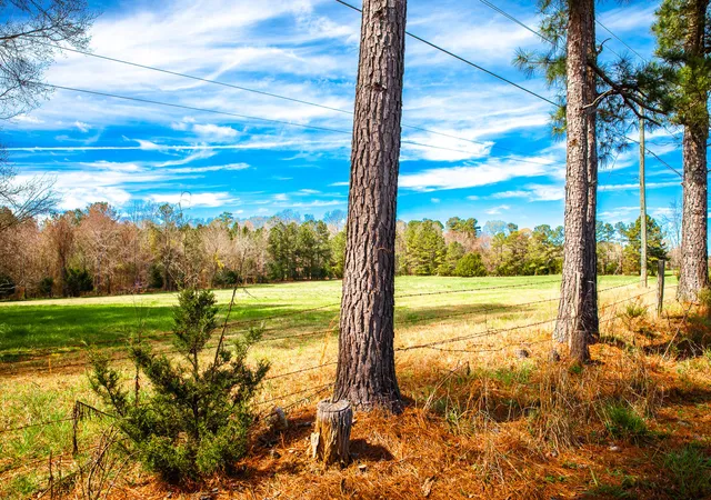 1st image of Lot 4 Mistletoe Rd, Appling, GA 30802 | MLS# 98212124