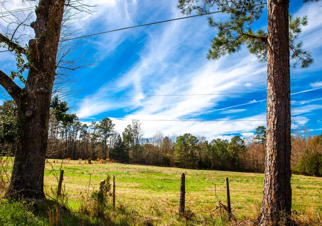 7th image of Lot 4 Mistletoe Rd, Appling, GA 30802 | MLS# 98212124
