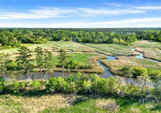 3rd image of 160 Sterling Crk Point, Richmond Hill, GA 31324 | MLS# SA353314