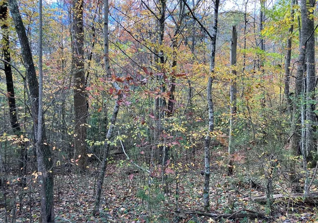 Photo 2 of Land for sale at 39a Hedden Stiles, Murphy, NC 28906 | MLS# 98543874 | Listing updated on 2026-06-01
