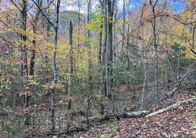 Photo 3 of Land for sale at 39A Hedden Stiles, Murphy, NC 28906 | MLS# 98543874 | Listing updated on 2026-06-01