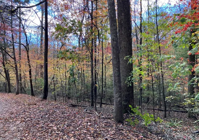 Photo 4 of Land for sale at 39A Hedden Stiles, Murphy, NC 28906 | MLS# 98543874 | Listing updated on 2026-06-01