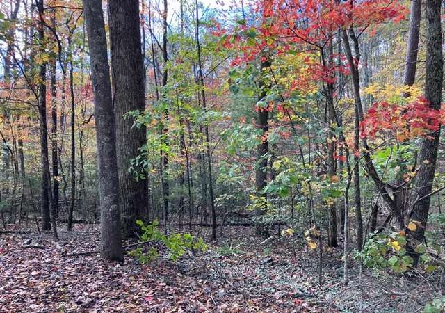 Photo 5 of Land for sale at 39A Hedden Stiles, Murphy, NC 28906 | MLS# 98543874 | Listing updated on 2026-06-01