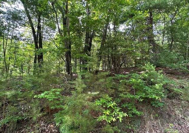 Photo 1 of Land for sale at Lot 31 Peak Trl, Murphy, NC 28906 | MLS# 100595620 | Listing updated on 2026-08-17
