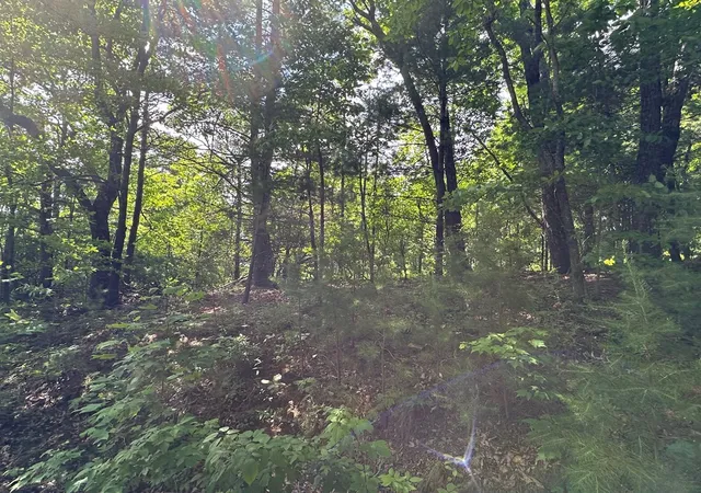 Photo 4 of Land for sale at Lot 31 Peak Trl, Murphy, NC 28906 | MLS# 100595620 | Listing updated on 2026-08-17