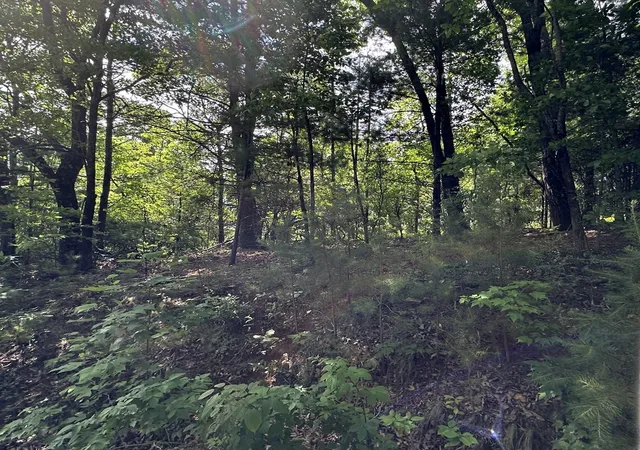 Photo 5 of Land for sale at Lot 31 Peak Trl, Murphy, NC 28906 | MLS# 100595620 | Listing updated on 2026-08-17