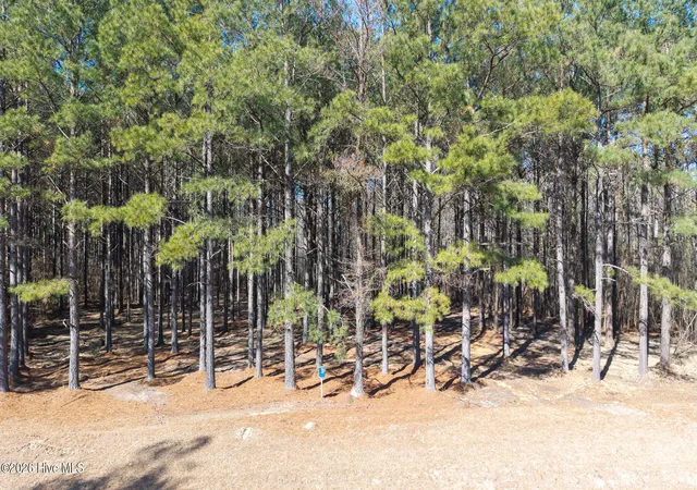 Photo 3 of Land for sale at 285 Riversound Dr, Edenton, NC 27932 | MLS# 100557737 | Listing updated on 2026-07-13