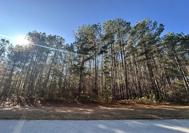 Homes for sale in Tignall, GA | 1252 Rogers Rd, Tignall, GA 30668 | MLS# 98254488