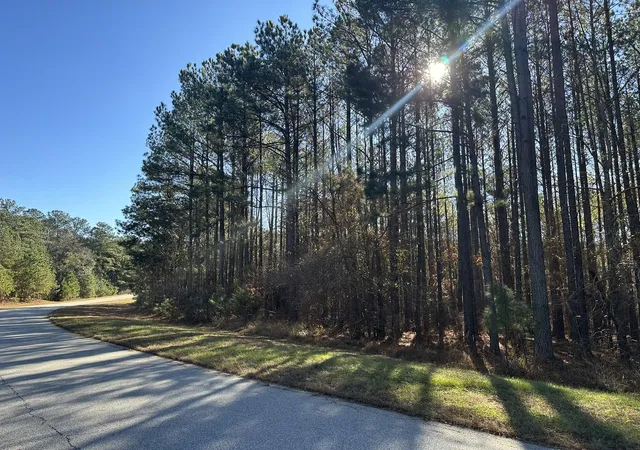 Homes for sale in Tignall, GA | 1252 Rogers Rd, Tignall, GA 30668 | MLS# 98254488