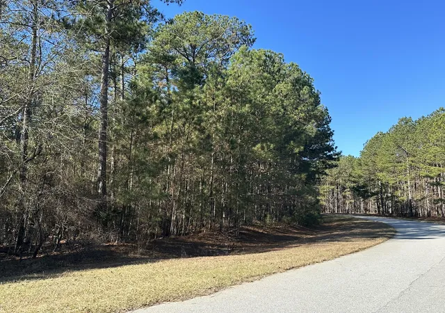 Homes for sale in Tignall, GA | 1252 Rogers Rd, Tignall, GA 30668 | MLS# 98254488