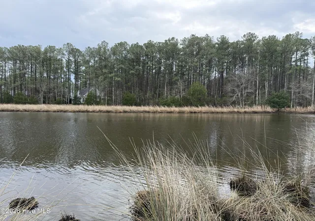 Photo 2 of Land for sale at 180 Tall Pines Dr, Oriental, NC 28571 | MLS# 100555383 | Listing updated on 2026-08-29