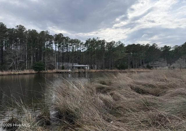 Photo 3 of Land for sale at 180 Tall Pines Dr, Oriental, NC 28571 | MLS# 100555383 | Listing updated on 2026-08-29