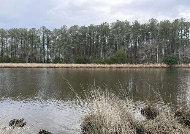 Photo 4 of Land for sale at 180 Tall Pines Dr, Oriental, NC 28571 | MLS# 100555383 | Listing updated on 2026-08-29