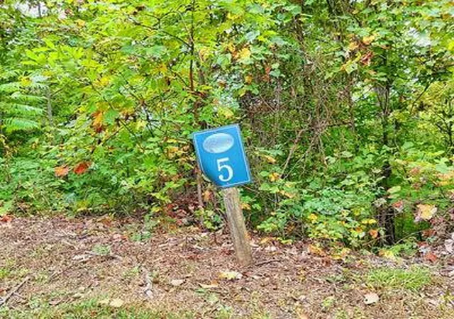 Homes for sale in Hayesville, NC | Lot 5 Skyview Dr, Hayesville, NC 28904 | MLS# 98524270