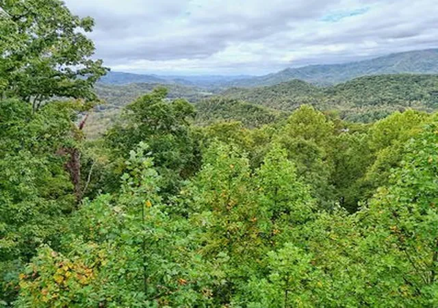 Homes for sale in Hayesville, NC | Lot 5 Skyview Dr, Hayesville, NC 28904 | MLS# 98524270