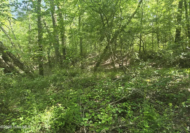 Photo 2 of Land for sale at 234 Circle Dr, Vass, NC 28394 | MLS# 100590916 | Listing updated on 2026-07-23