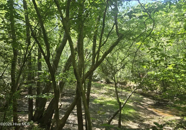 Photo 3 of Land for sale at 234 Circle Dr, Vass, NC 28394 | MLS# 100590916 | Listing updated on 2026-07-23