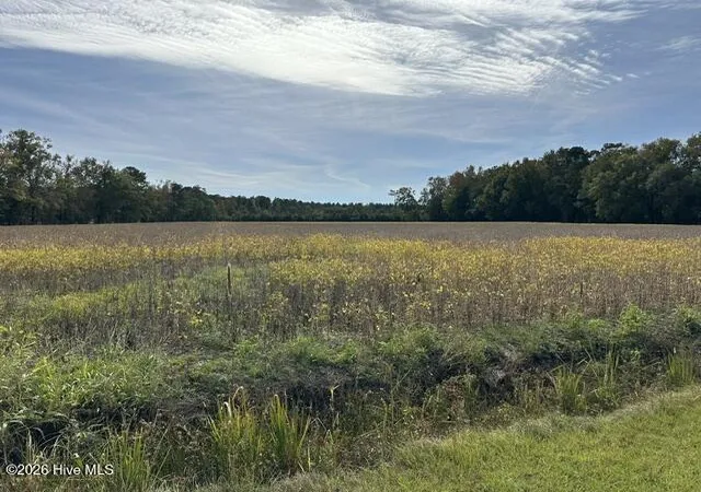 1st image of 721 Joe Piver Rd, Chadbourn, NC 28431 | MLS# 100596663
