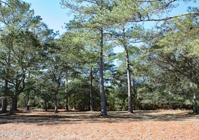 Homes for sale in Sunset Beach, NC | 7483 Haddington Pl Sw, Sunset Beach, NC 28468 | MLS# 100555362