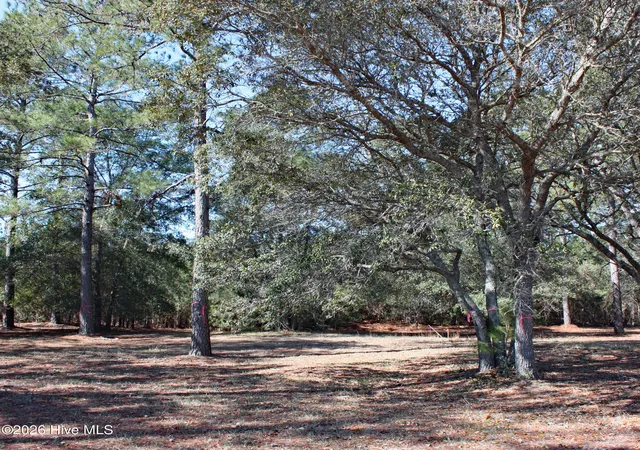 Homes for sale in Sunset Beach, NC | 7483 Haddington Pl Sw, Sunset Beach, NC 28468 | MLS# 100555362