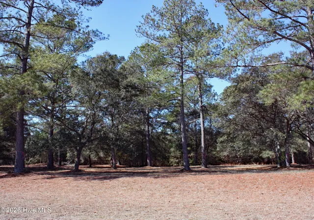 3rd image of 7483 Haddington Pl Sw, Sunset Beach, NC 28468 | MLS# 100555362