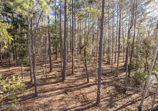 Photo 3 of Land for sale at 0 Smith Crk Rd, Bayboro, NC 28515 | MLS# 100528079 | Listing updated on 2026-07-17