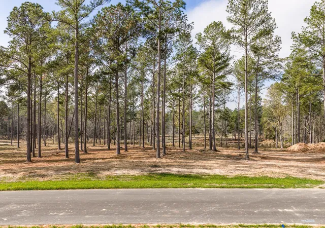 3rd image of 128 Beagle Chase Dr, Appling, GA 30802 | MLS# 98254435