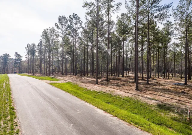 5th image of 128 Beagle Chase Dr, Appling, GA 30802 | MLS# 98254435
